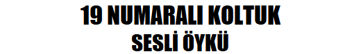 19 NUMARALI KOLTUK sesli kitap